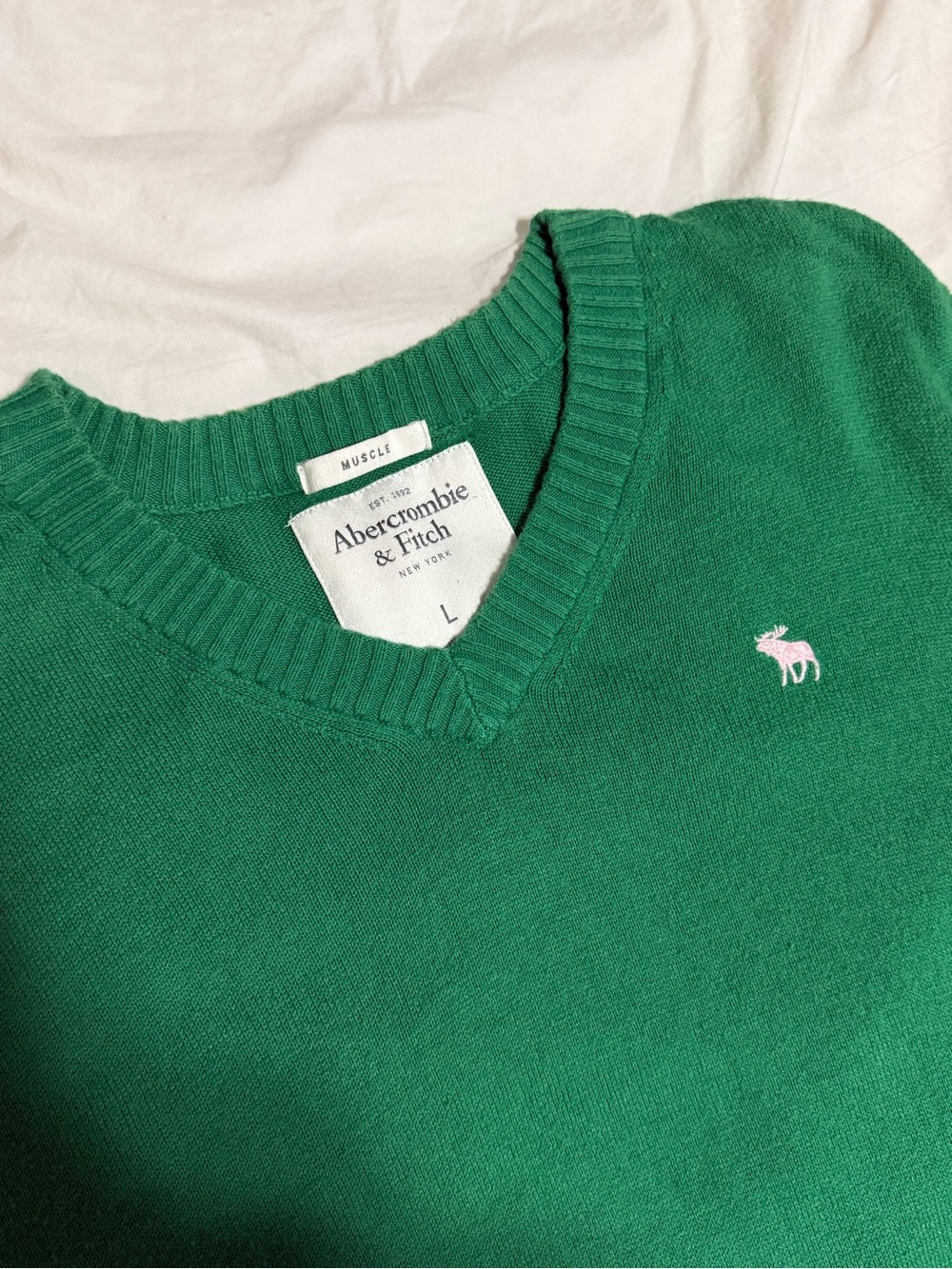 Abercrombie & Fitch Green V-Neck Sweater with Pink Moose Emblem